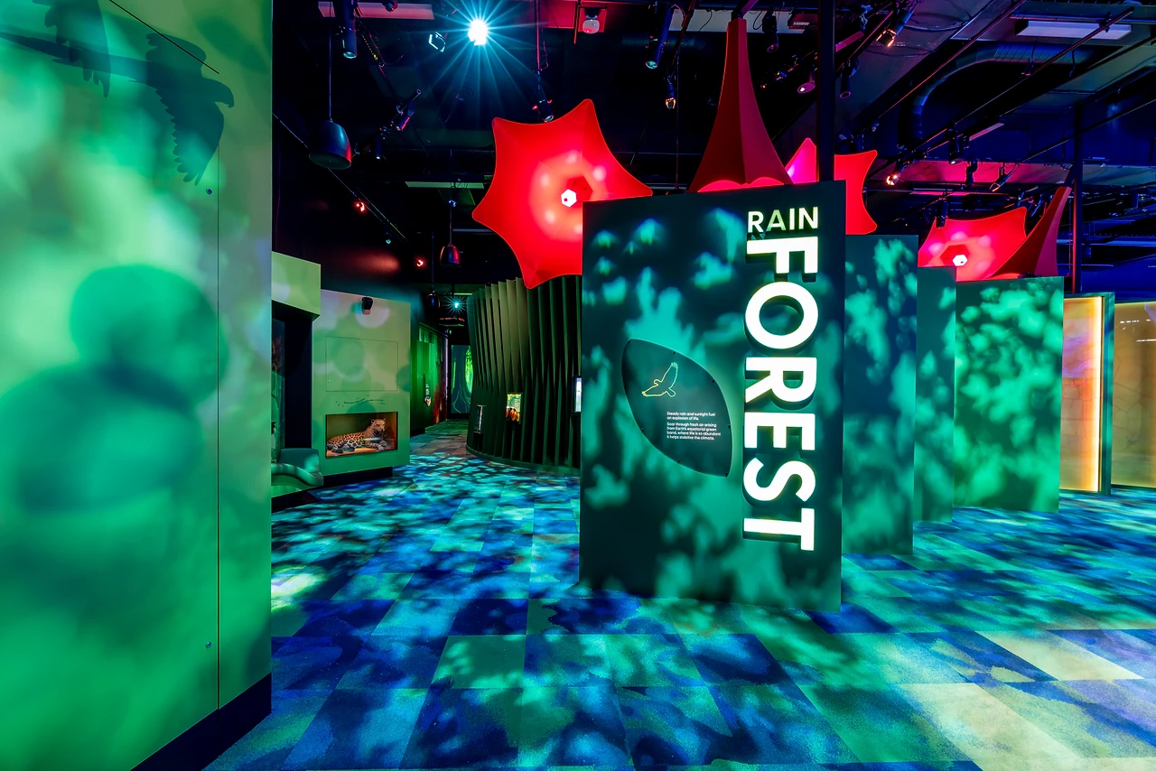 Rainforest zone entry with RAIN FOREST lettering on a dark green wall and red star-shaped canopy forms over a leaf-pattern floor. Design: Museums Victoria design department. Photo: Museums Victoria and Tim Blaikie.