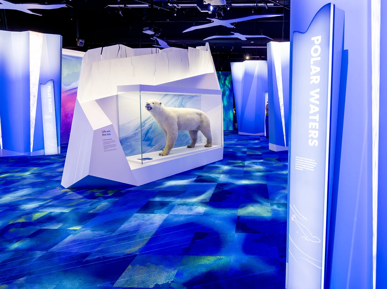 Polar bear in a faceted white iceberg showcase beneath a POLAR WATERS pylon. Design: Museums Victoria design department. Photo: Tim Blaikie.