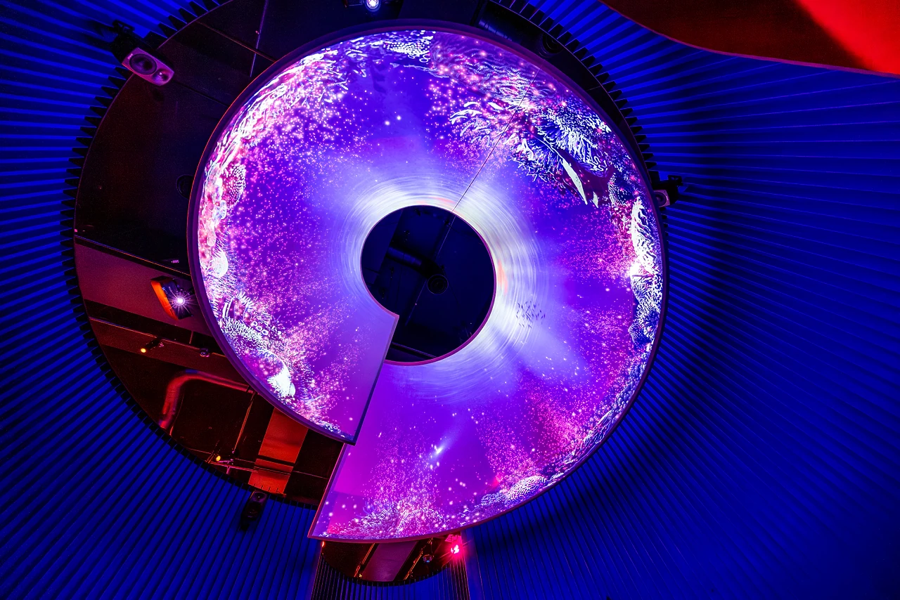 Large circular projection disc in deep blue and violet inside the Reef zone. Design: Museums Victoria design department. Photo: Museums Victoria and Tim Blaikie.