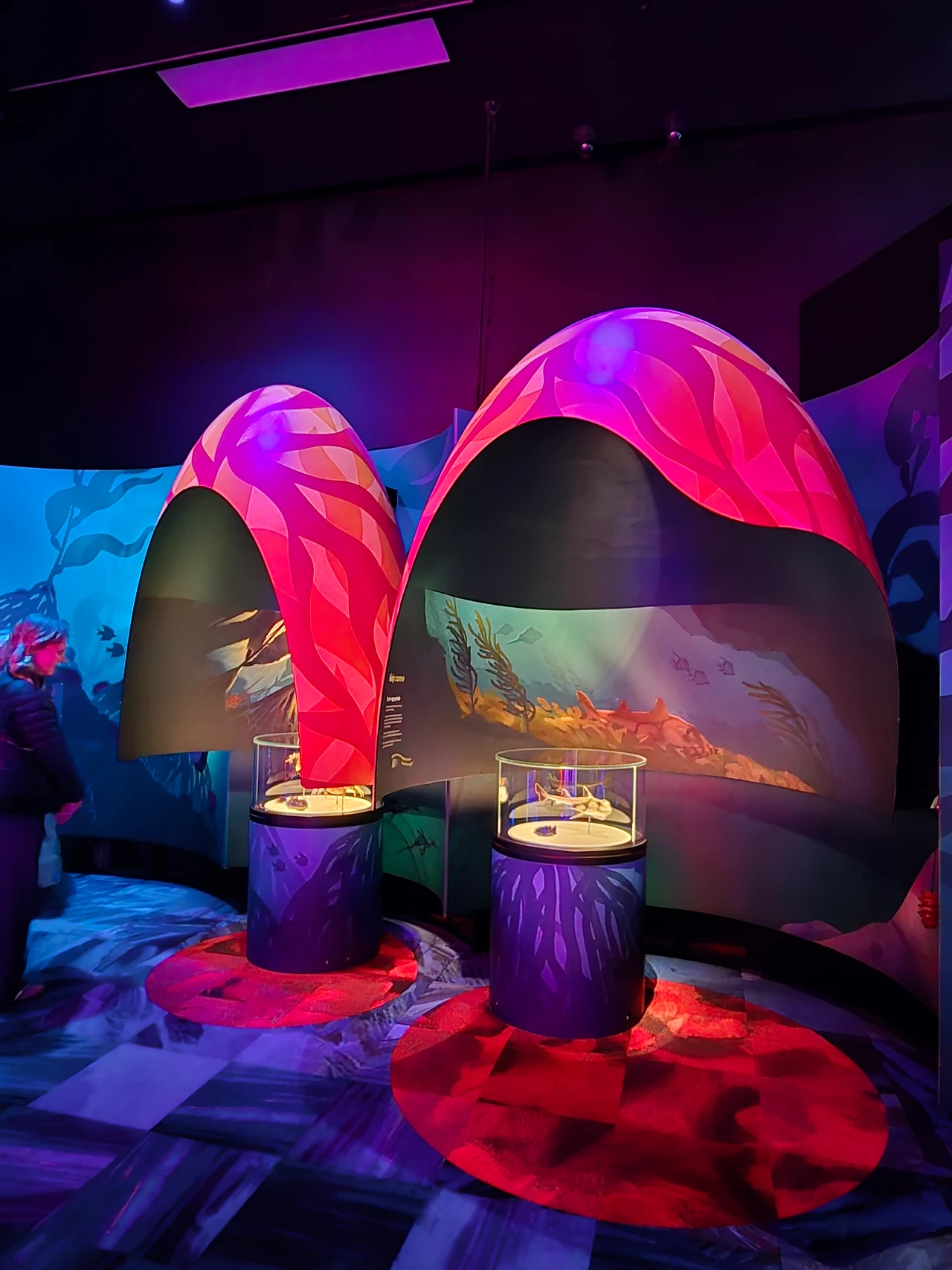 Pair of egg-shaped coral pods with lit pedestals in front of a red floor. Design: Museums Victoria design department. Photo: Tim Blaikie.