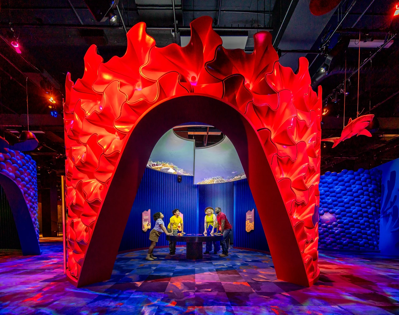 Towering red sculpted coral arch in the Reef zone, a built-form walk-through with a blue patterned wall beyond and visitors gathered at a table inside. Design: Museums Victoria design department. Photo: Museums Victoria and Tim Blaikie.