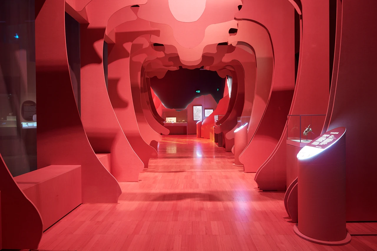 Sculpted red corridor with curved ribbed walls leading through Treasures of the Natural World at Melbourne Museum. Design: Studio Peter King. Photo: Eugene Hyland.