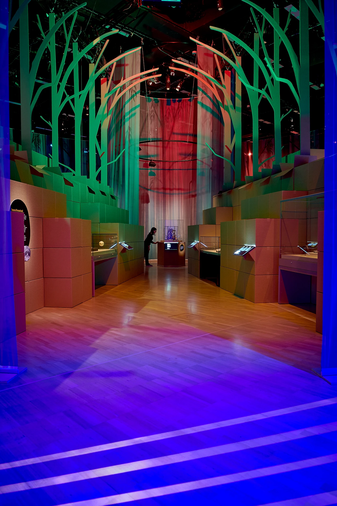 Portrait view of a colour-graded gallery with green tree-silhouette ceiling, timber casework and blue-lit steps at Melbourne Museum. Design: Studio Peter King. Photo: Eugene Hyland.