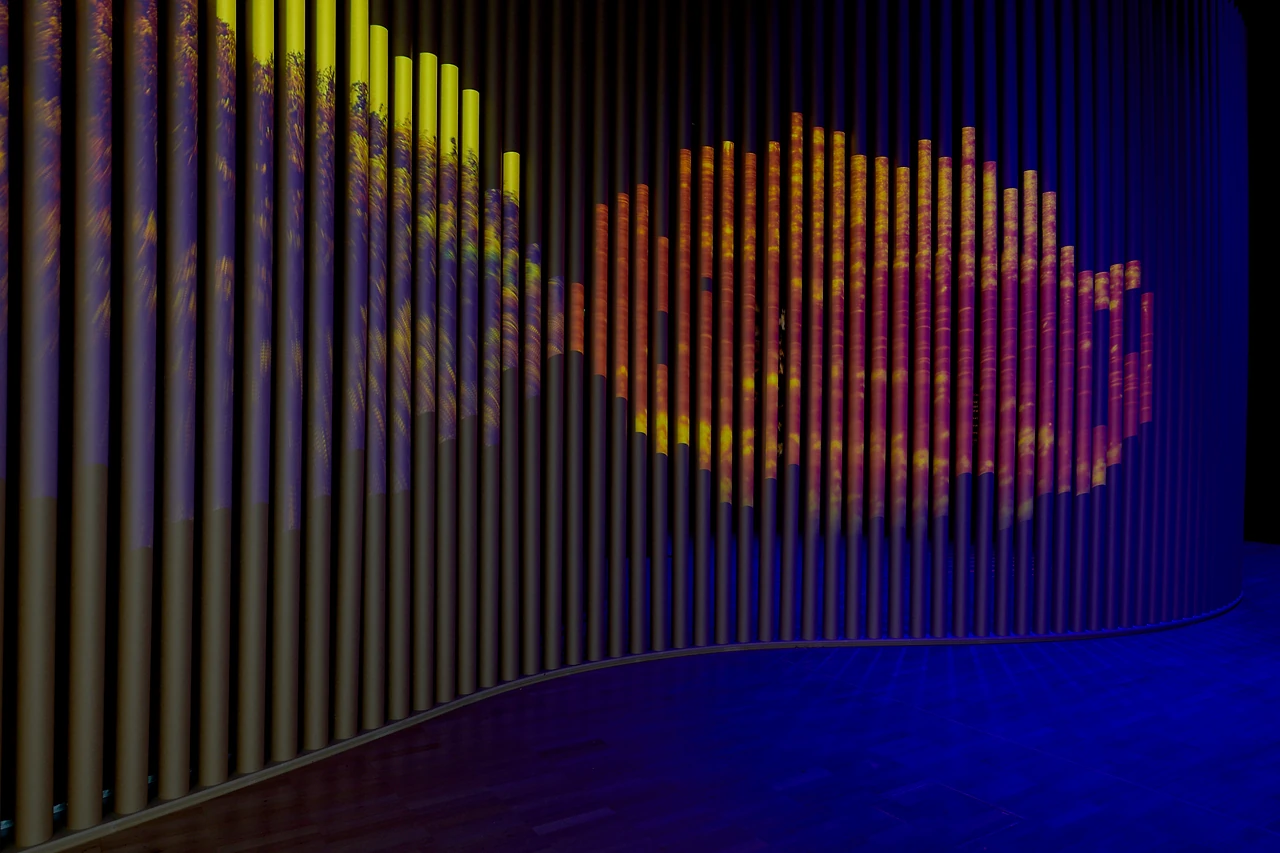 Curved wall of vertical timber battens lit with a colour projection at the entry to Treasures of the Natural World. Design: Studio Peter King. Photo: Eugene Hyland.