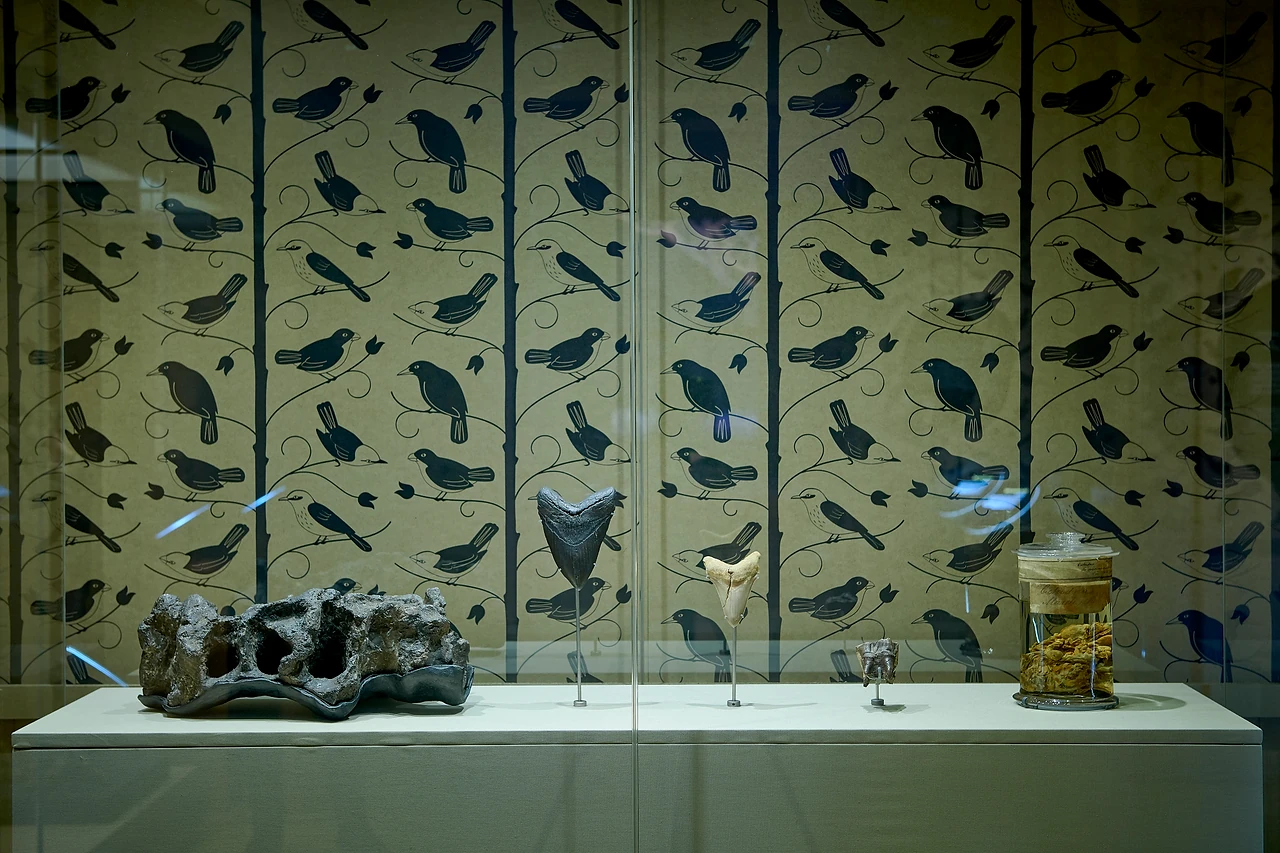 Printed bird-pattern wall behind a glazed case and plinth carrying fossil specimens in the Melbourne Museum exhibition. Design: Studio Peter King. Photo: Eugene Hyland.